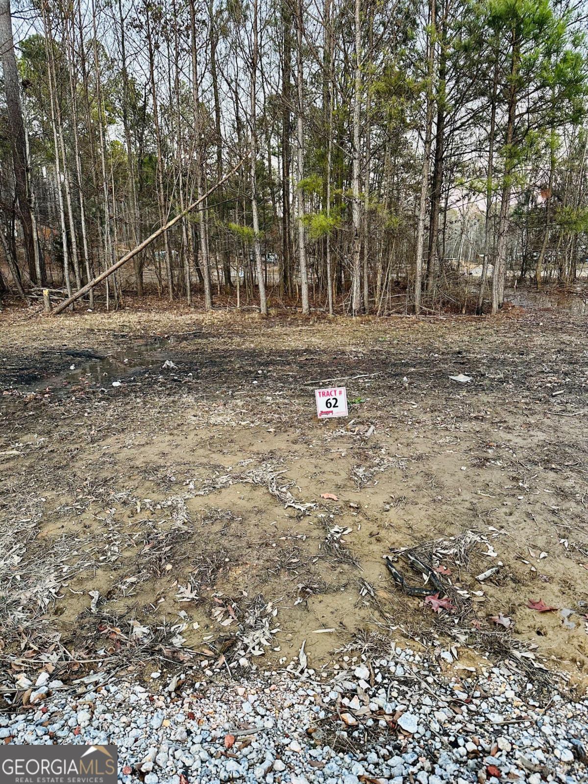 Photo 1 of 1 of 1795 County Road 182 #62 LOT 62 land