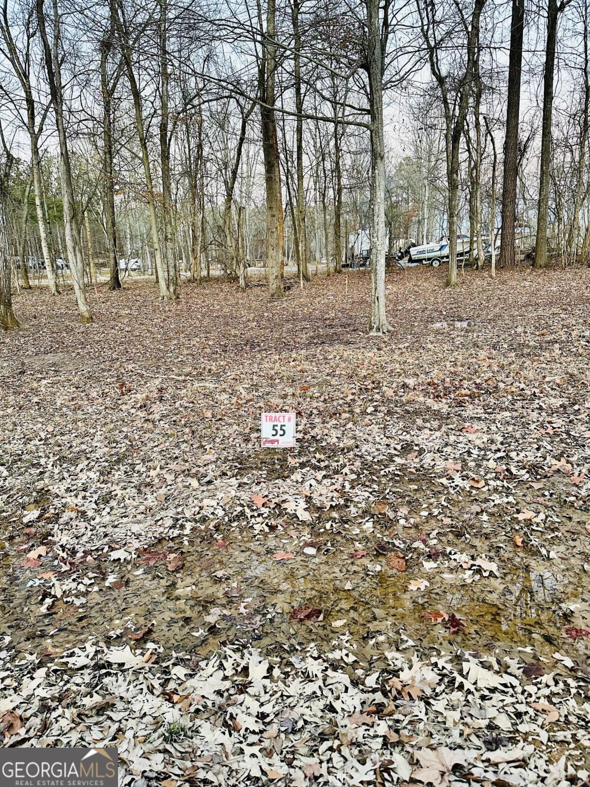 Photo 1 of 1 of 1795 County Road 182 #55 LOT 55 land