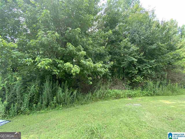 Photo 1 of 6 of 4016 Forest LN land