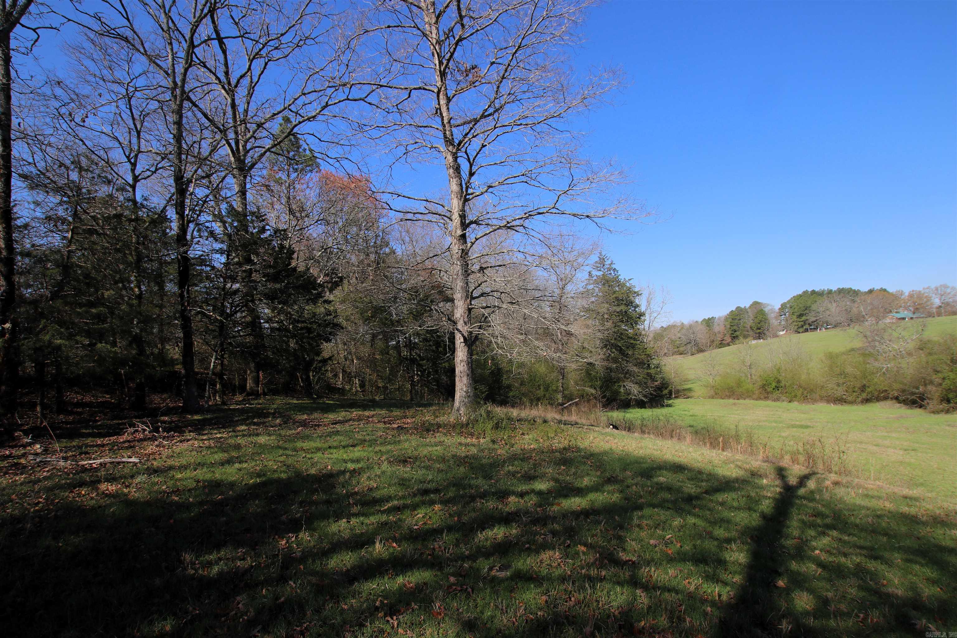 Photo 4 of 50 of 2063 AR 285 Highway land