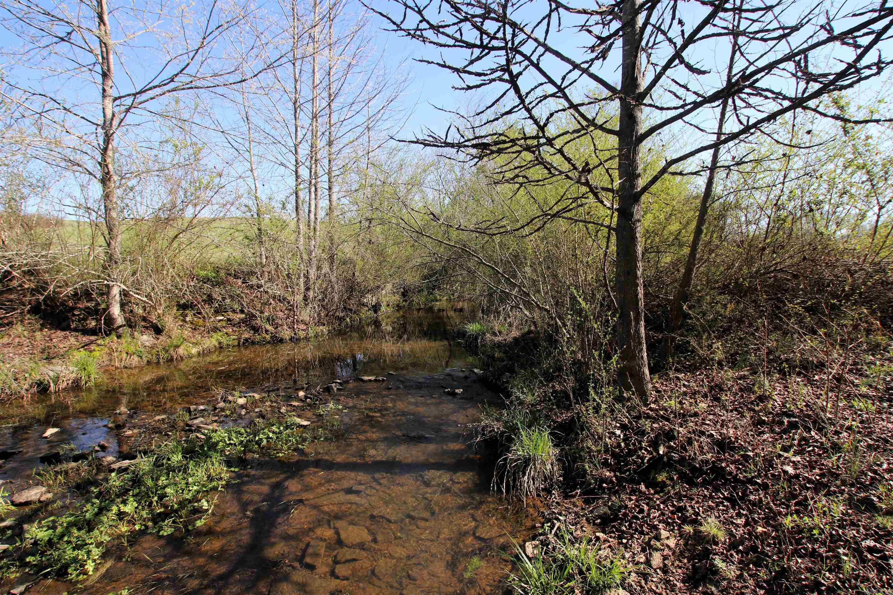 Photo 8 of 50 of 2063 AR 285 Highway land