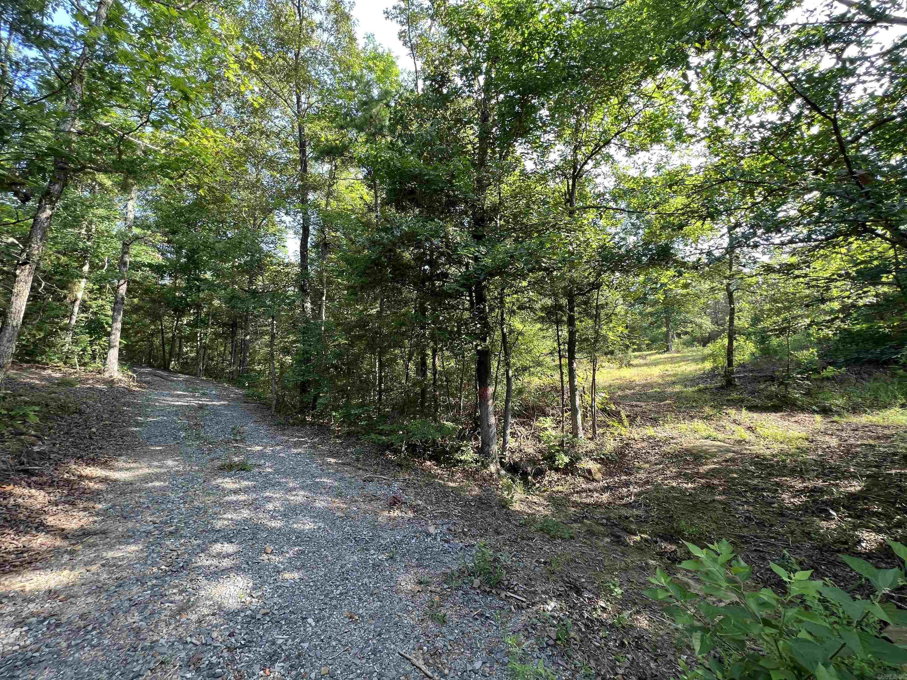 Photo 1 of 23 of 292 Batesville Mountain Road land