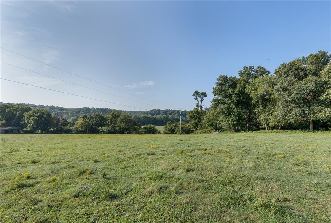 Photo 3 of 19 of Tract 5 Reed Valley Road land