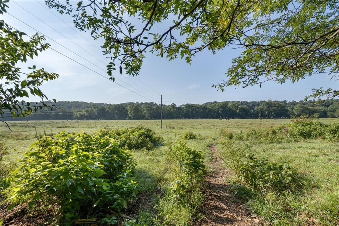 Photo 5 of 19 of Tract 5 Reed Valley Road land