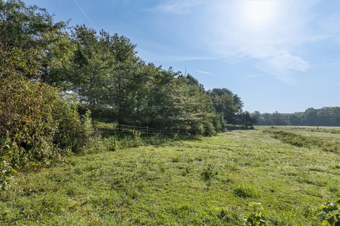 Photo 6 of 19 of Tract 5 Reed Valley Road land