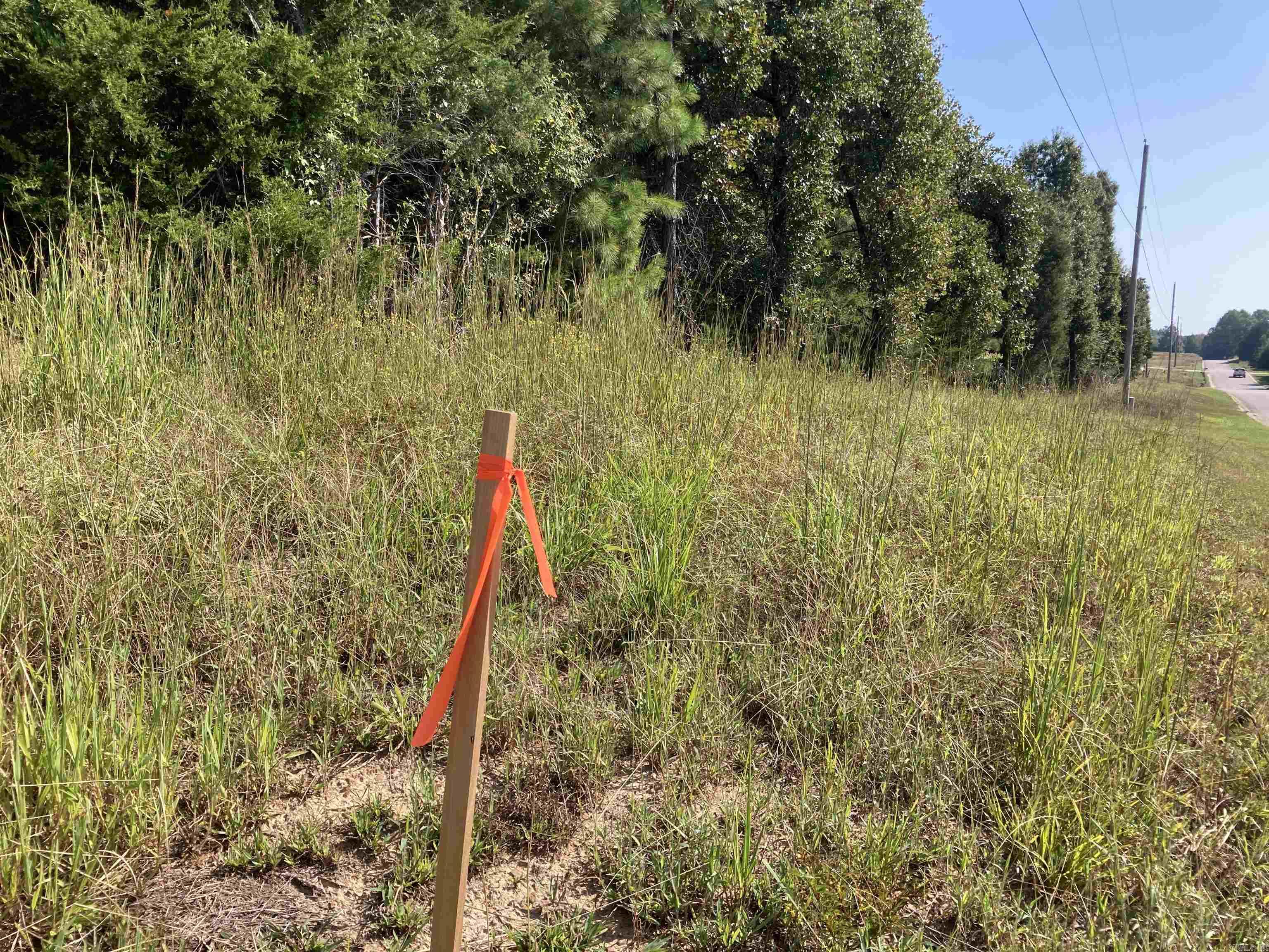 Photo 11 of 11 of 36 Lieblong Road land