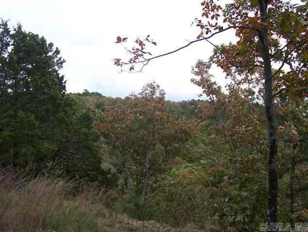 Photo 6 of 8 of 00 Honeysuckle Lane land