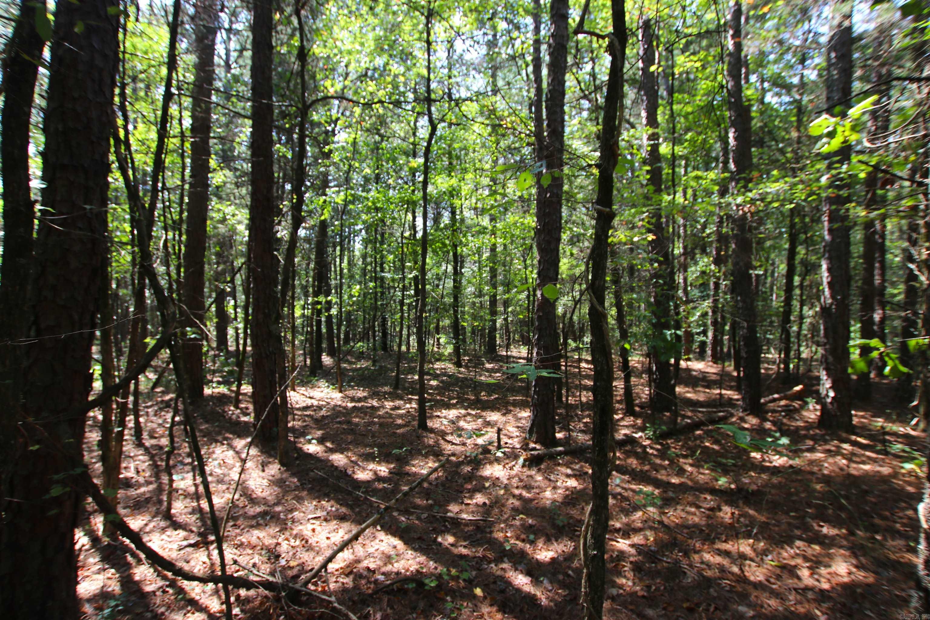 Photo 12 of 42 of 000 Edgemont Road land