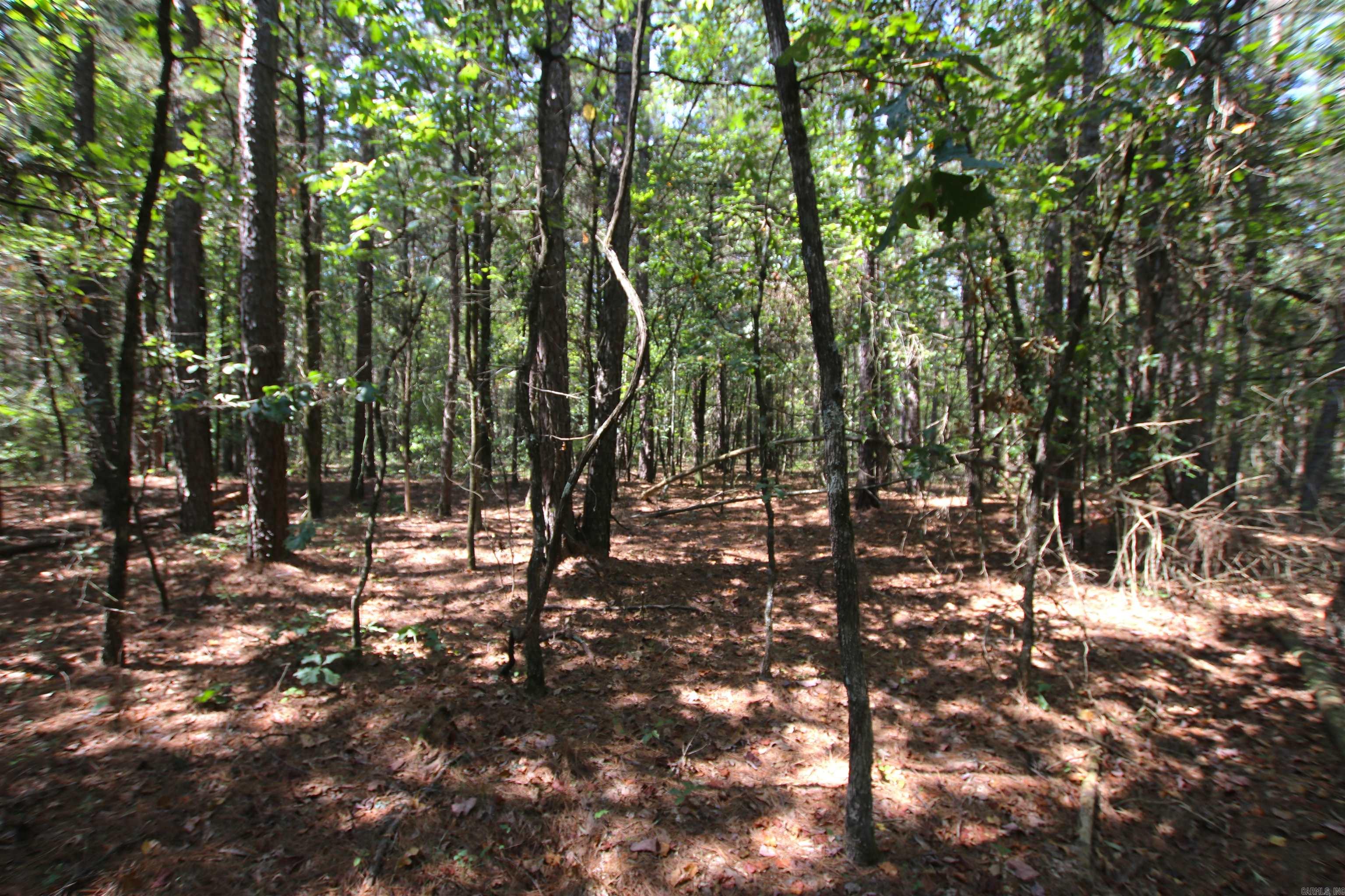 Photo 13 of 42 of 000 Edgemont Road land