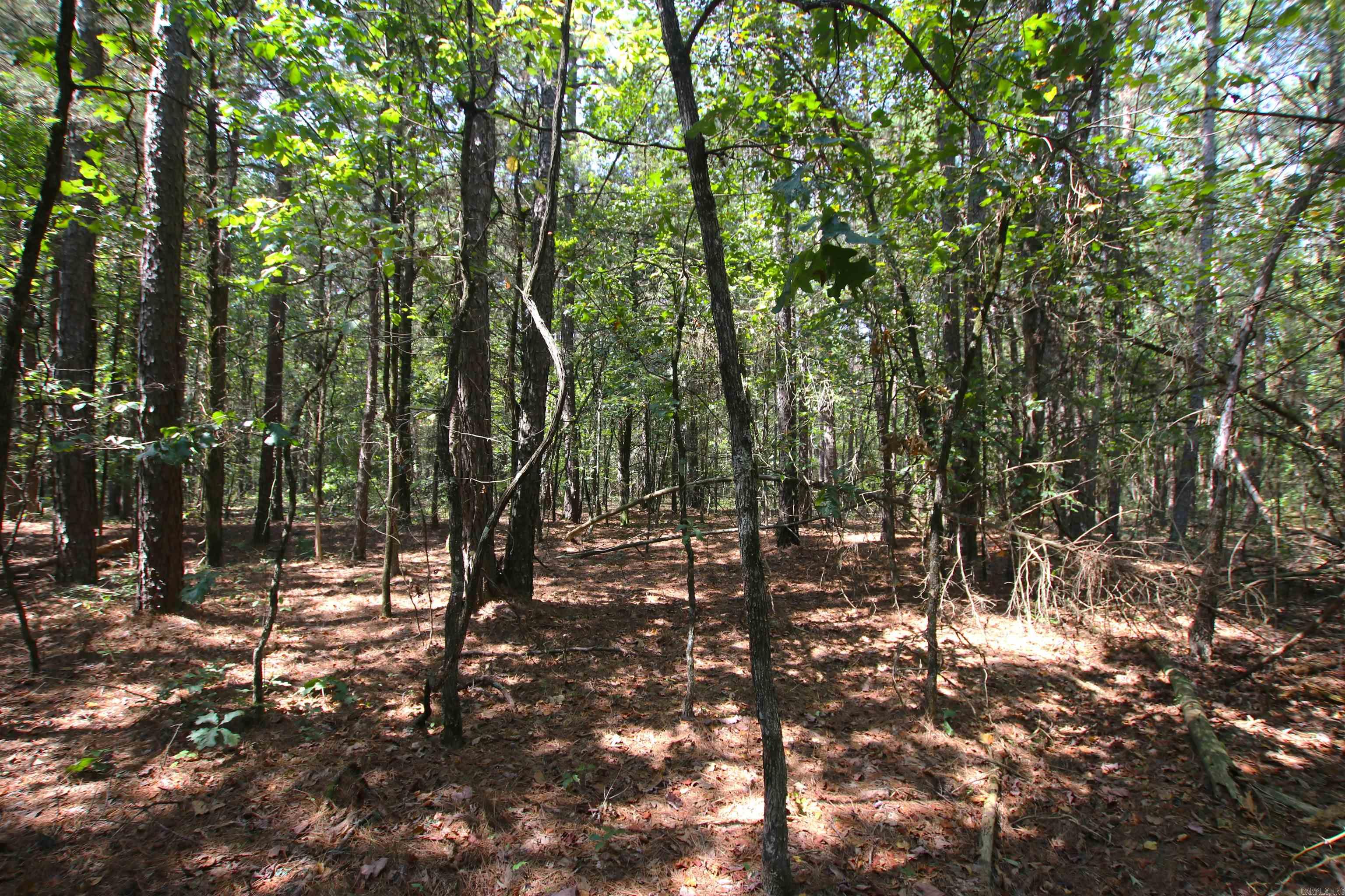 Photo 14 of 42 of 000 Edgemont Road land