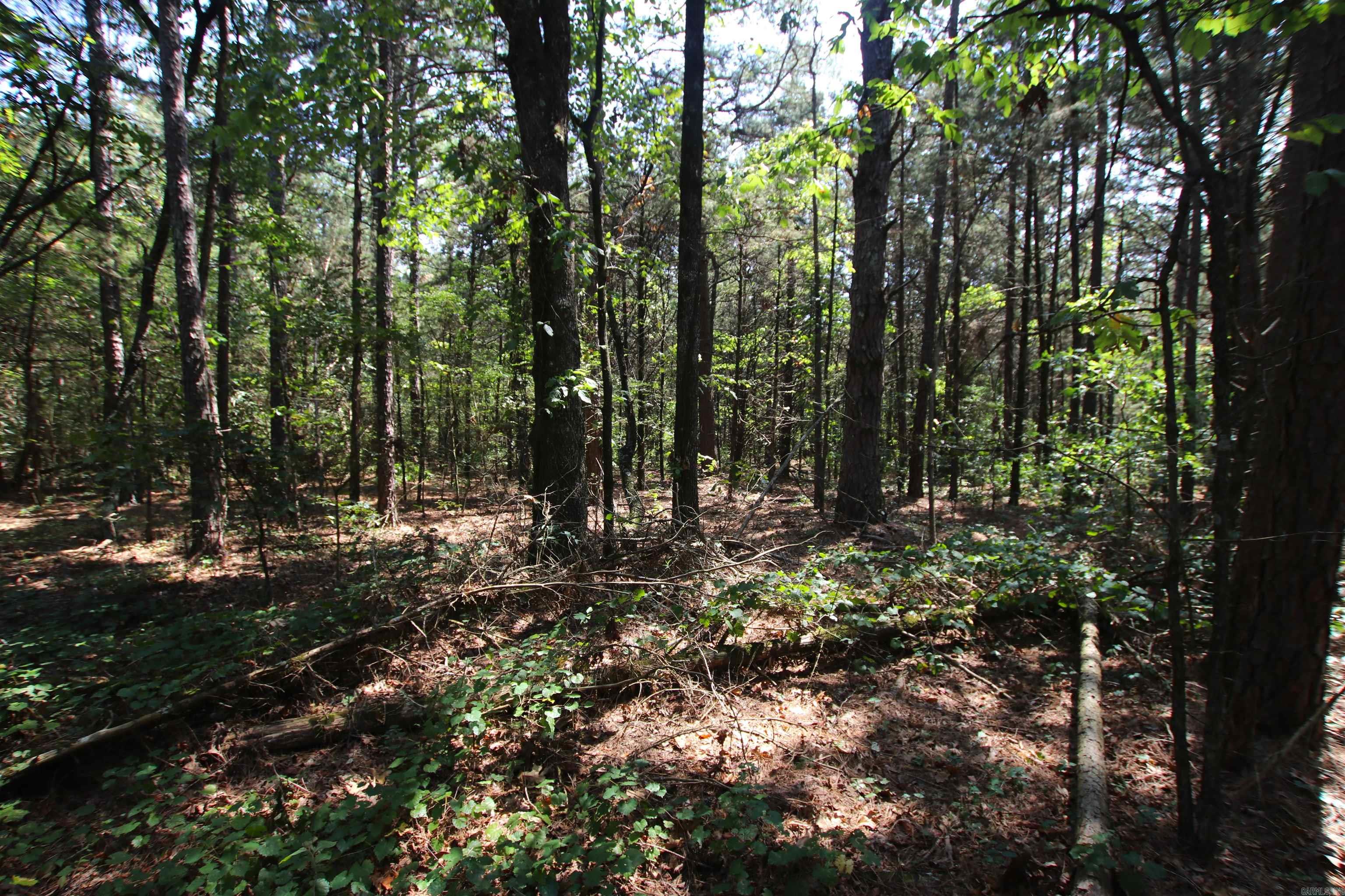 Photo 19 of 42 of 000 Edgemont Road land