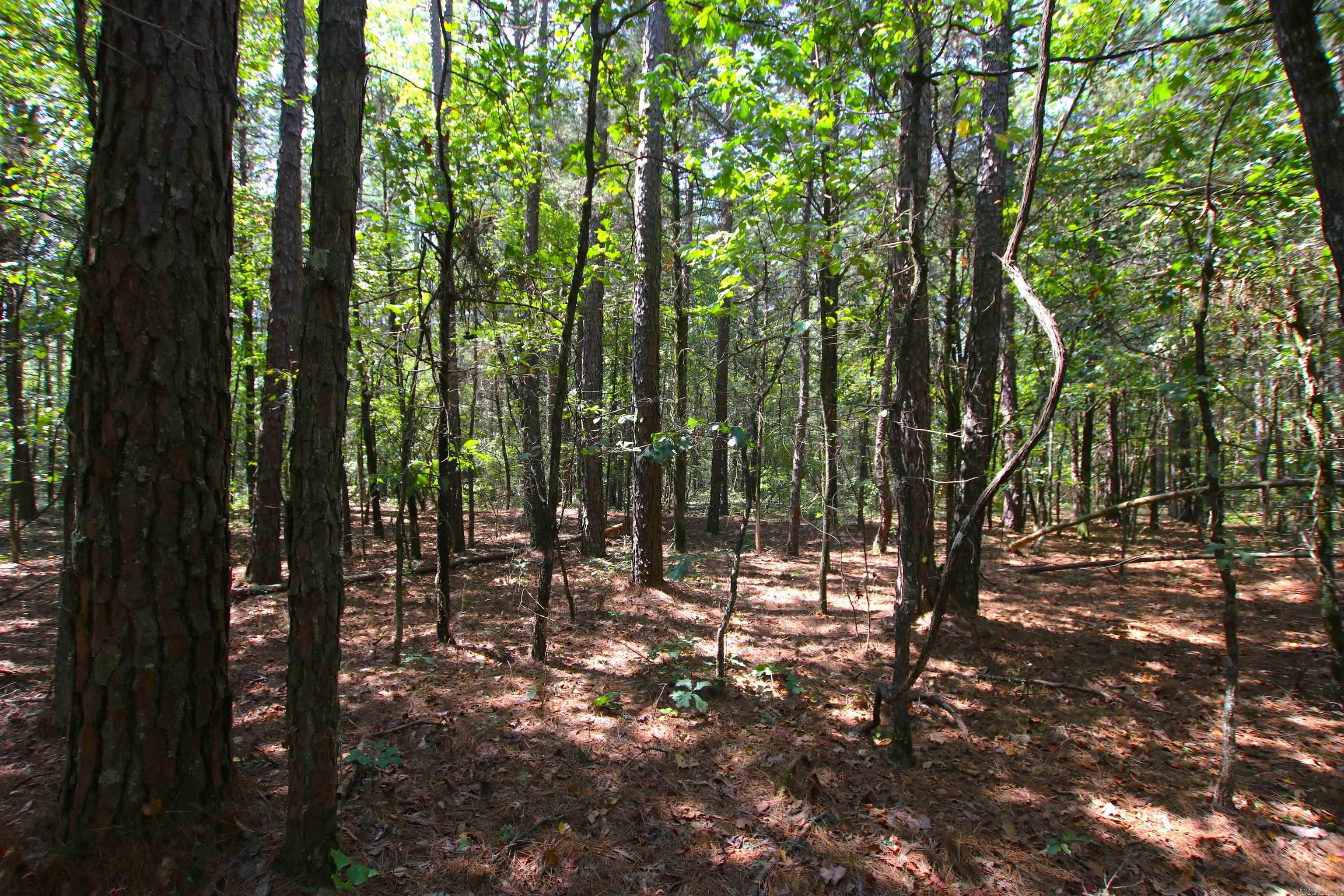 Photo 20 of 42 of 000 Edgemont Road land