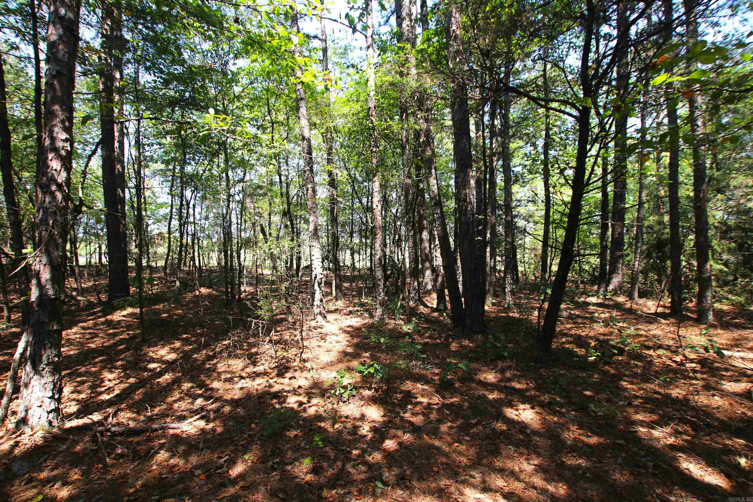 Photo 29 of 42 of 000 Edgemont Road land