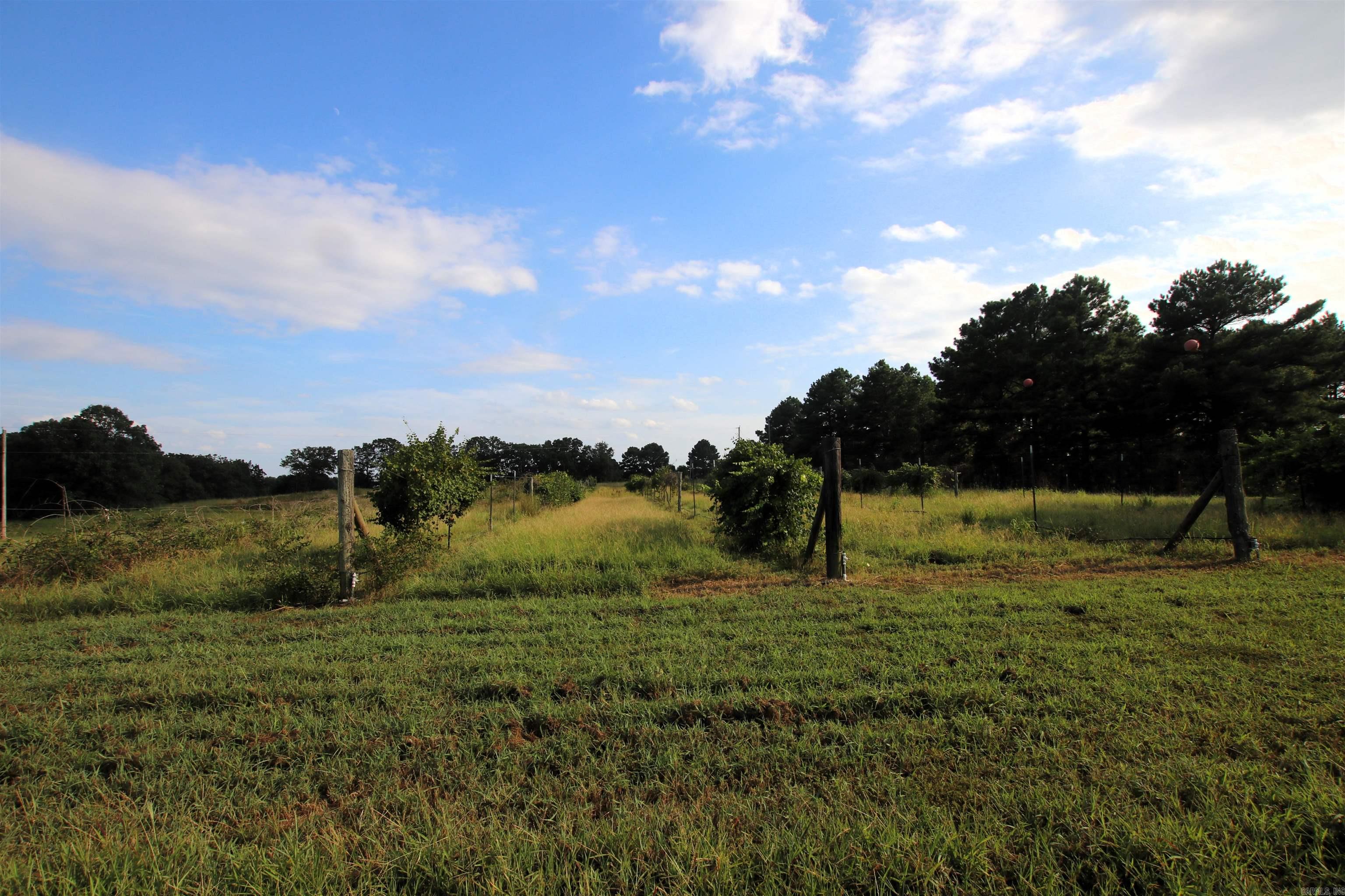 Photo 20 of 40 of 288 Heifer Creek Road land