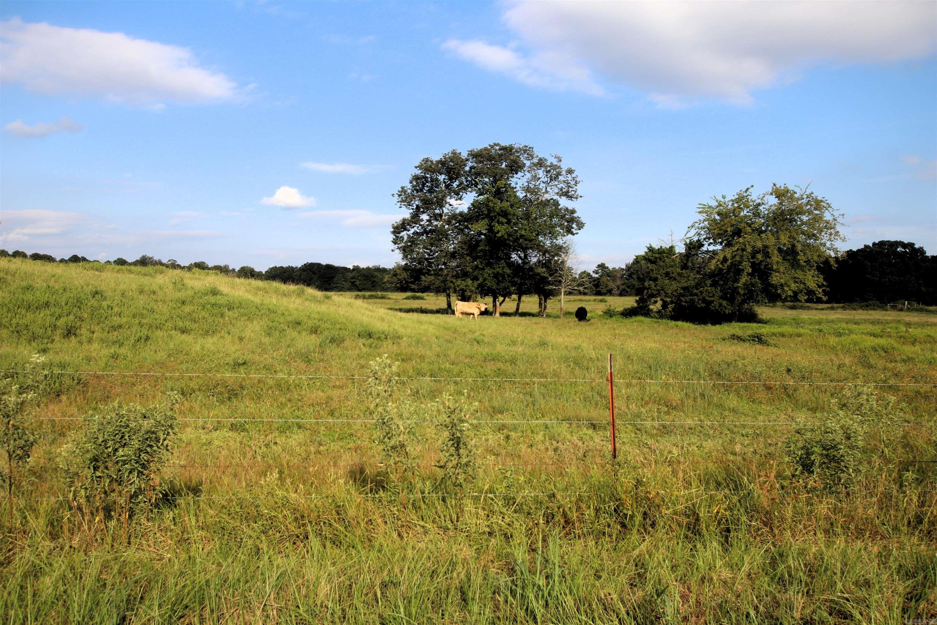 Photo 23 of 40 of 288 Heifer Creek Road land