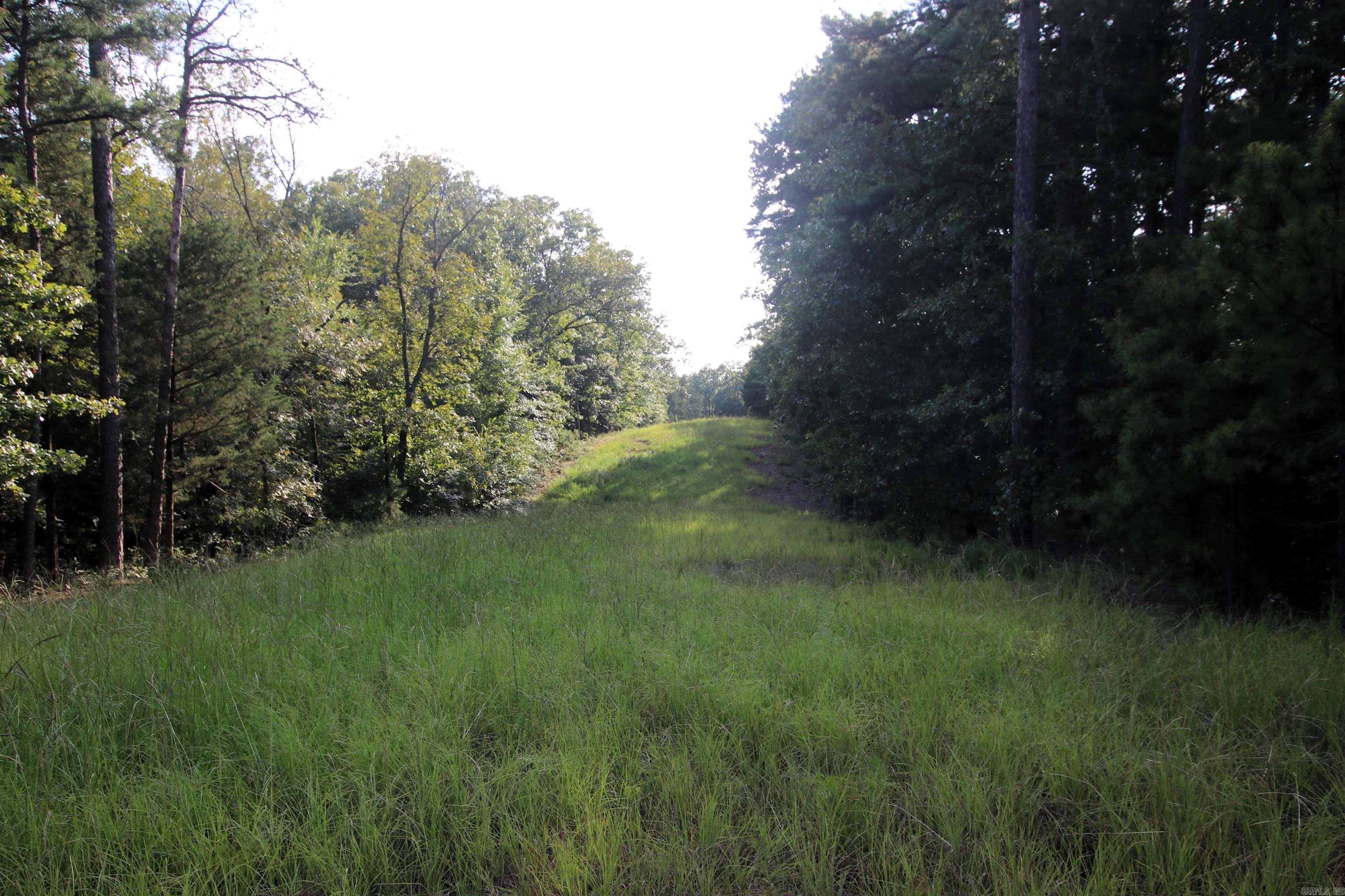 Photo 27 of 40 of 288 Heifer Creek Road land