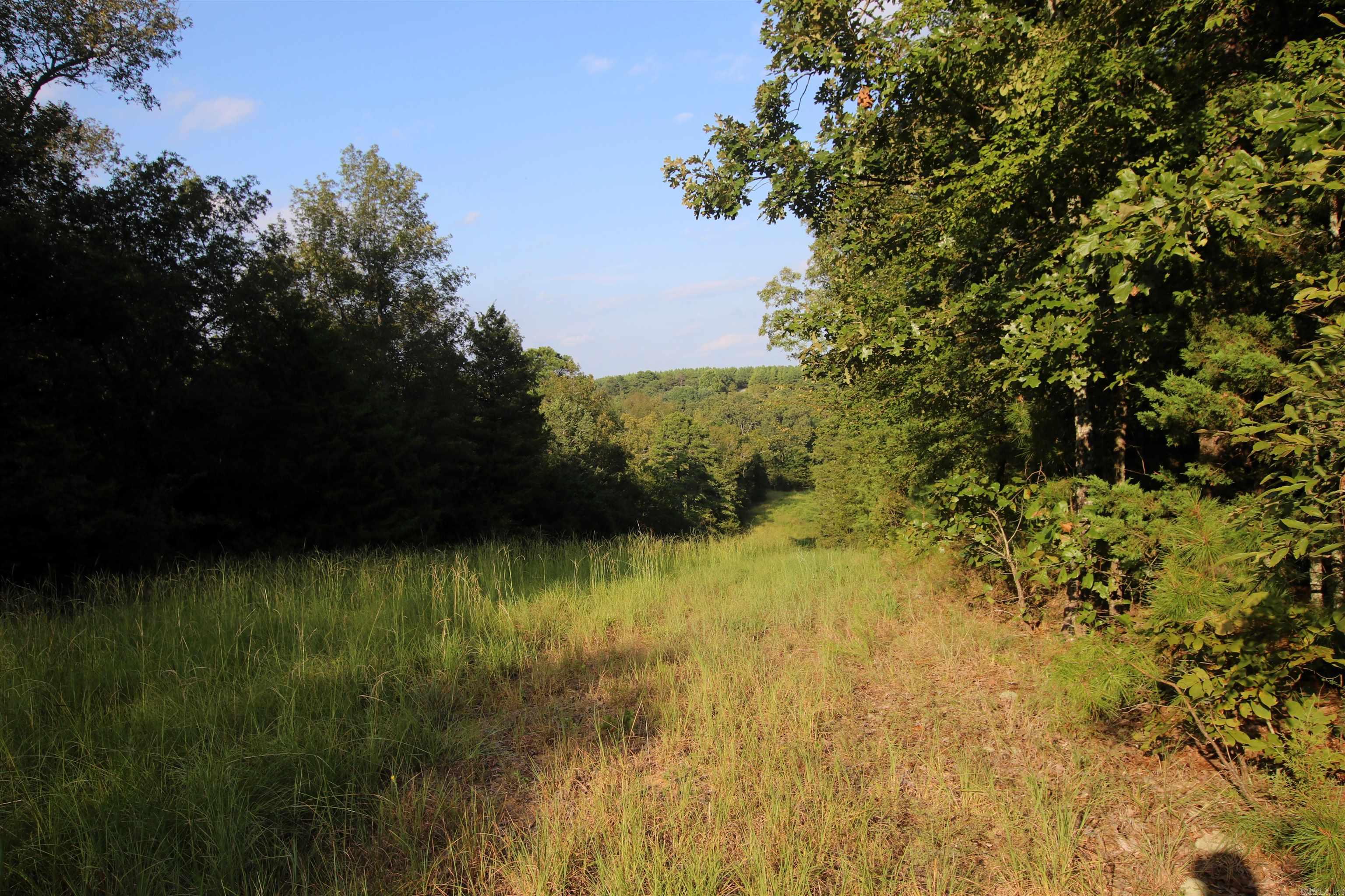 Photo 28 of 40 of 288 Heifer Creek Road land