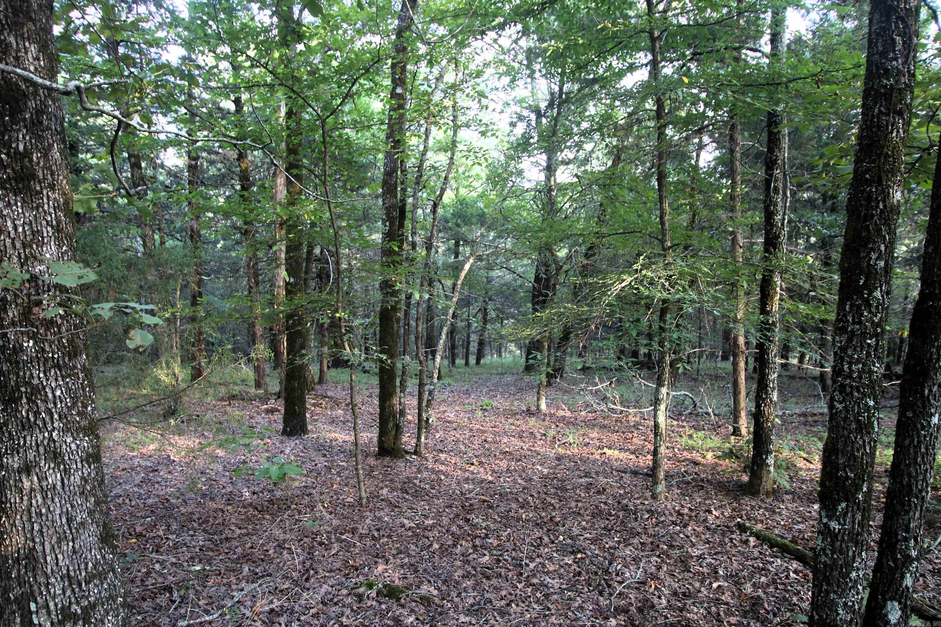 Photo 29 of 40 of 288 Heifer Creek Road land