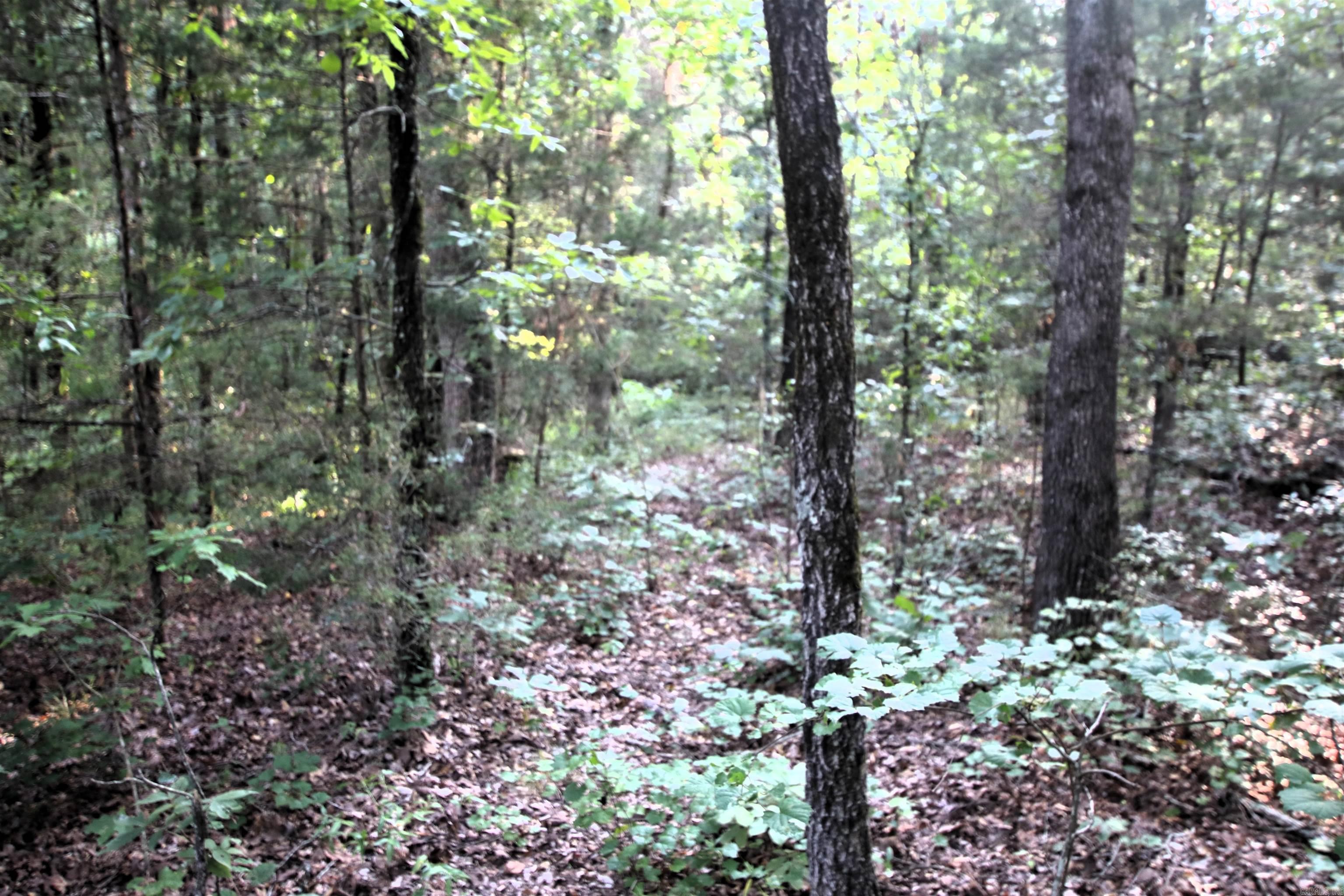 Photo 32 of 40 of 288 Heifer Creek Road land