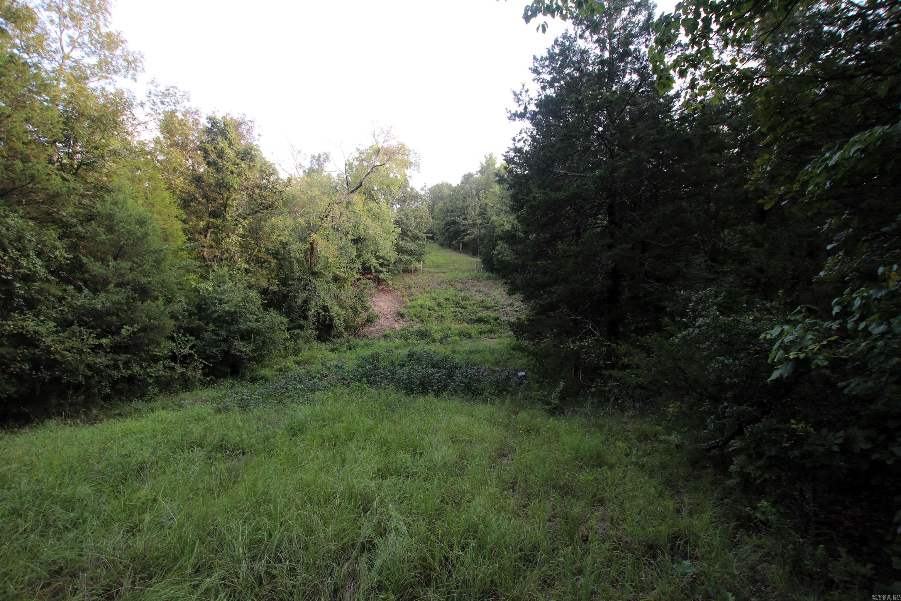 Photo 33 of 40 of 288 Heifer Creek Road land