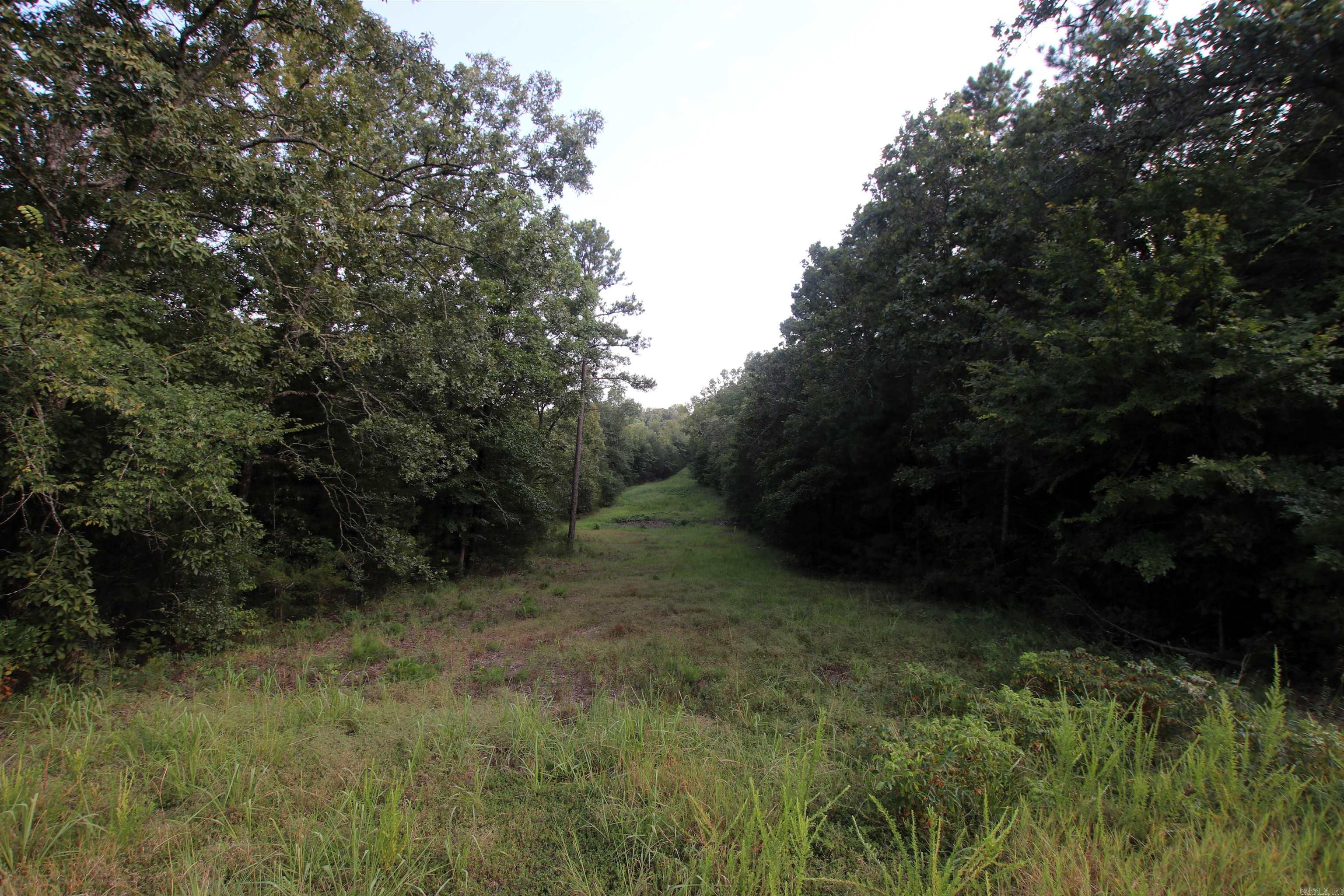 Photo 36 of 40 of 288 Heifer Creek Road land