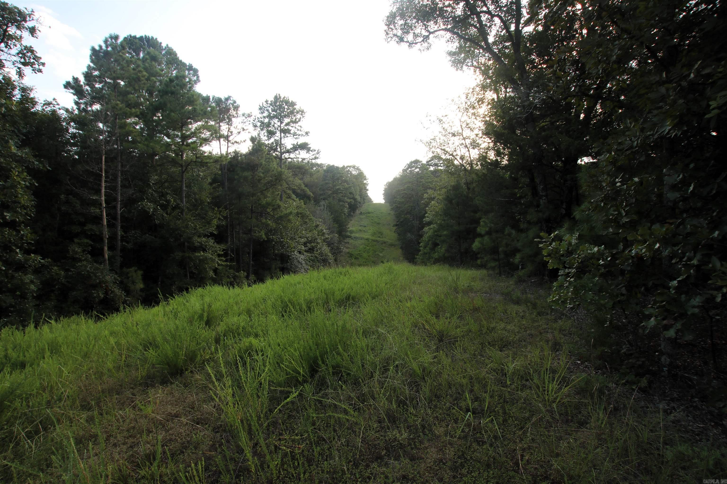 Photo 38 of 40 of 288 Heifer Creek Road land