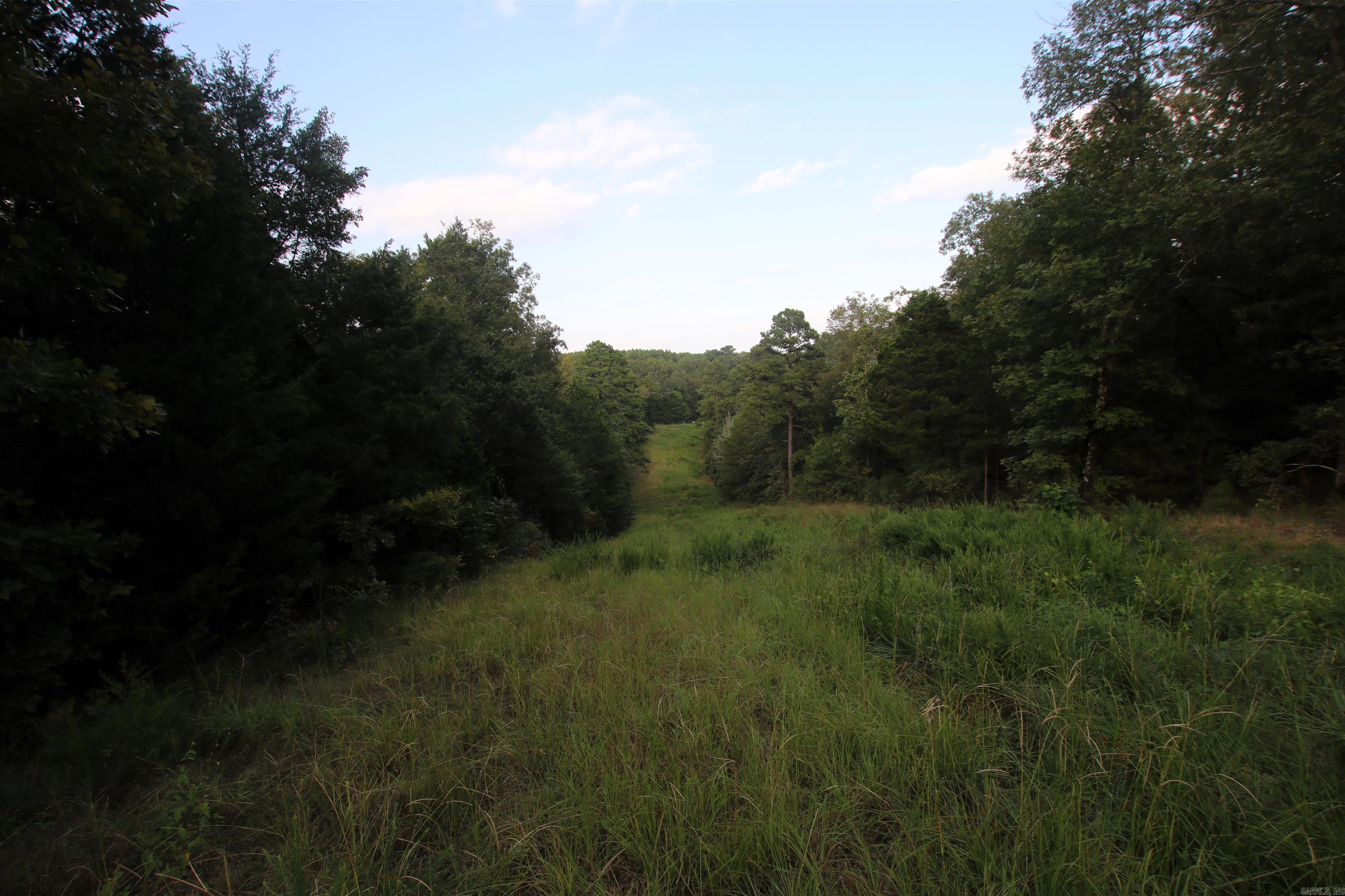 Photo 39 of 40 of 288 Heifer Creek Road land