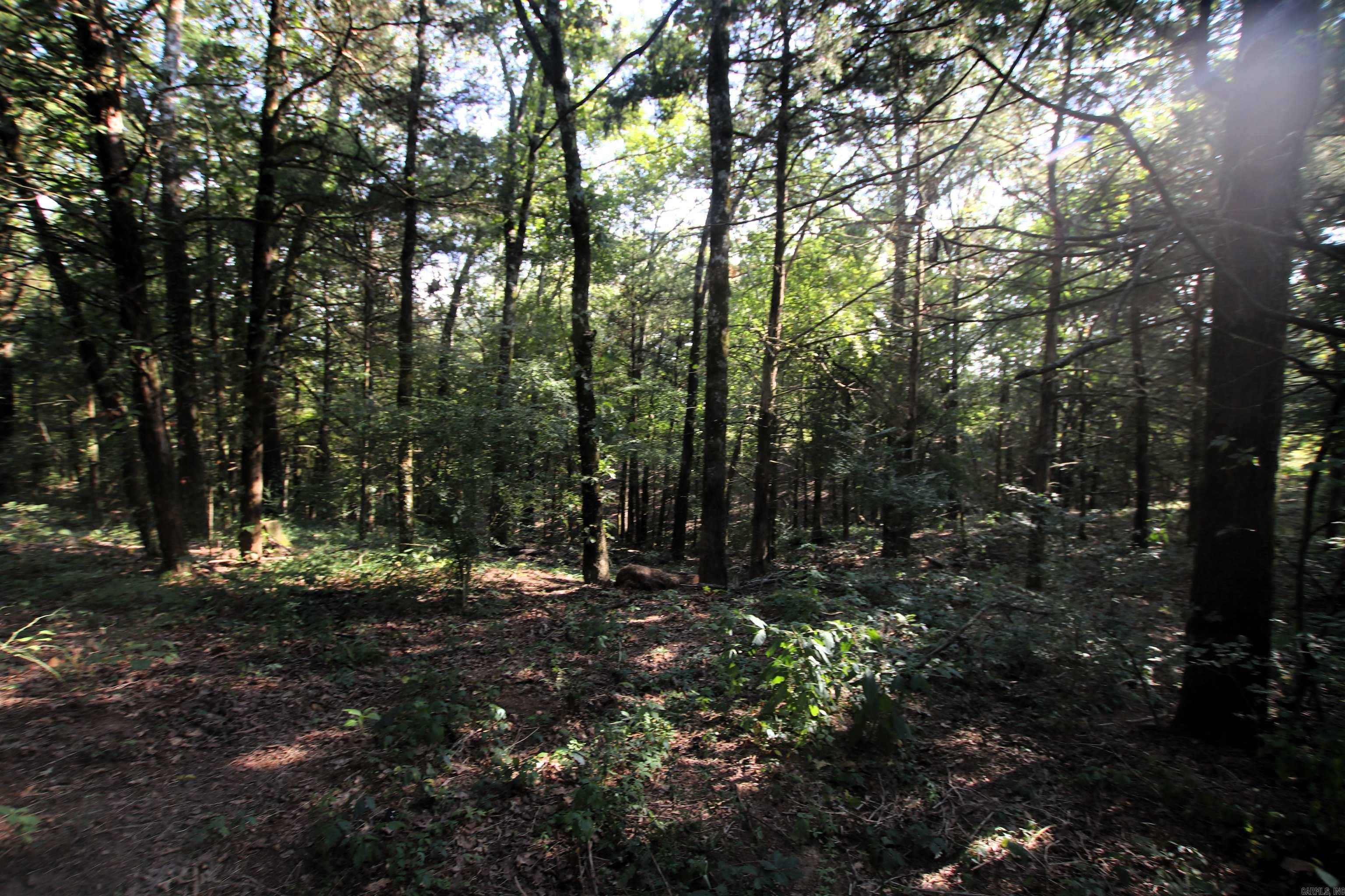 Photo 6 of 40 of 288 Heifer Creek Road land