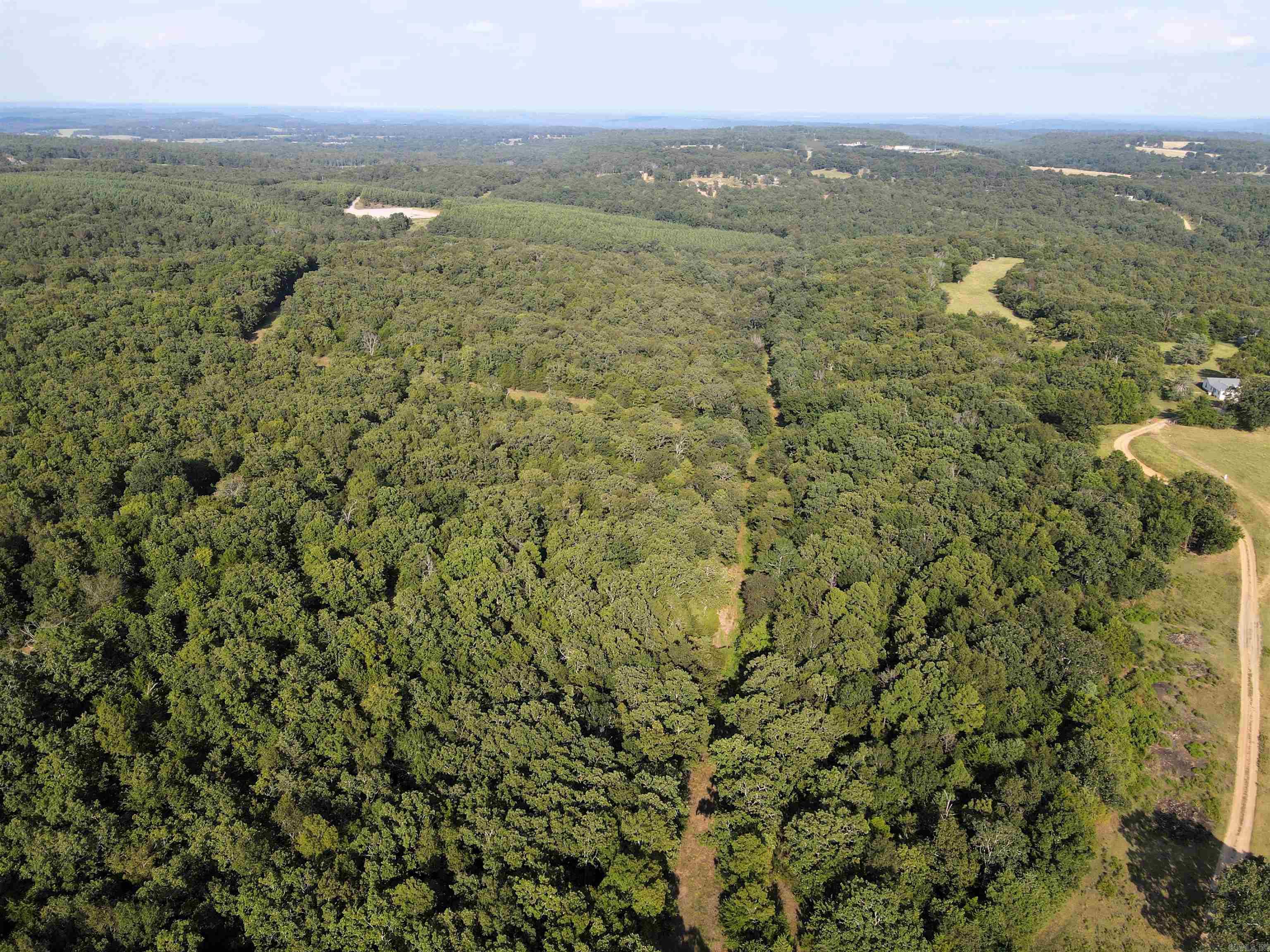 Photo 8 of 40 of 288 Heifer Creek Road land