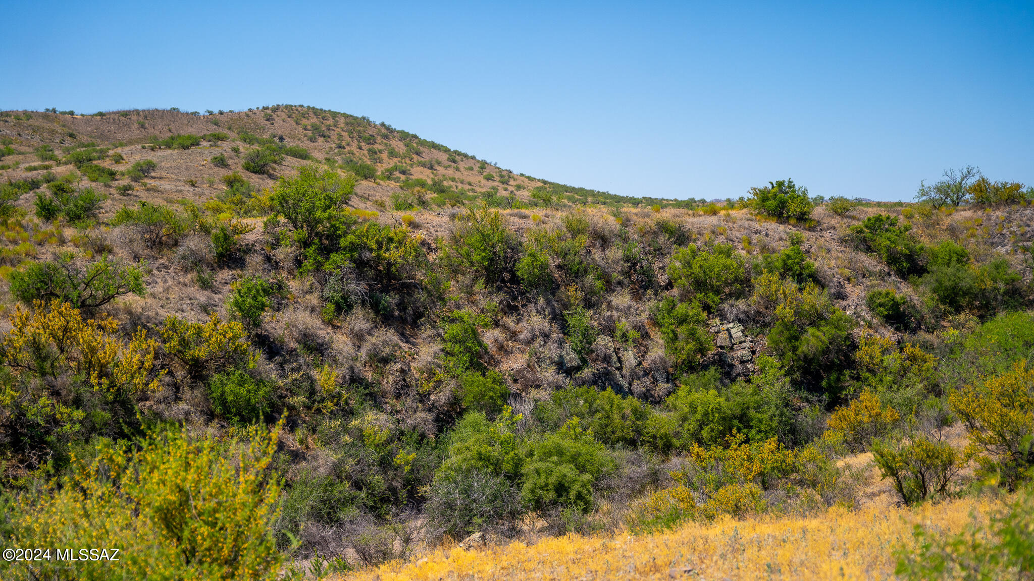 Photo 9 of 25 of 13199 W Hardscrabble Road land