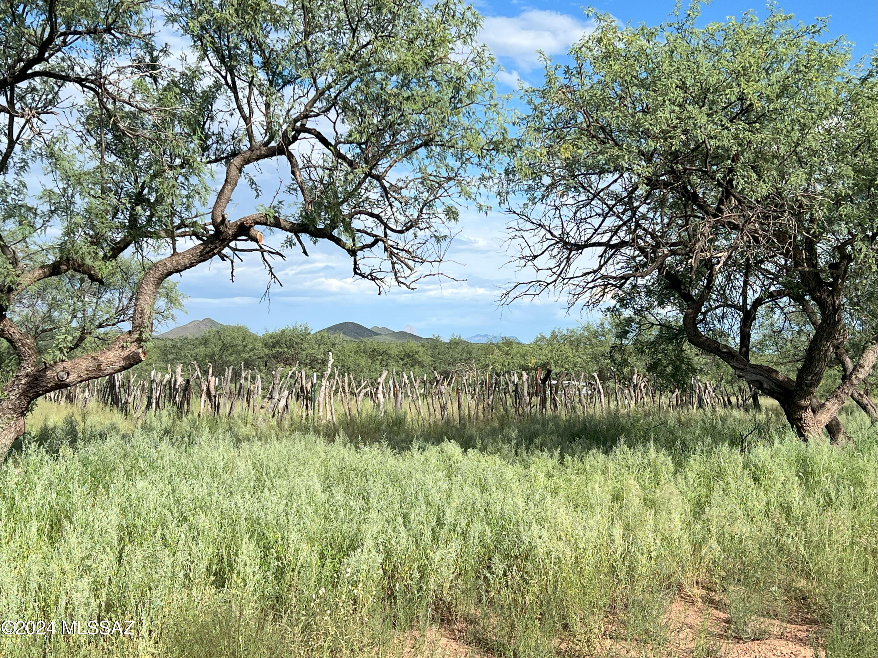 Photo 6 of 12 of 15301 W Ili Teka Road land