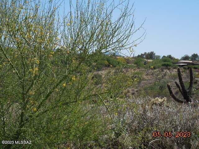 Photo 1 of 4 of 745 W Placita El Cueto 59 land
