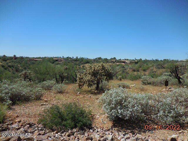 Photo 3 of 4 of 745 W Placita El Cueto 59 land