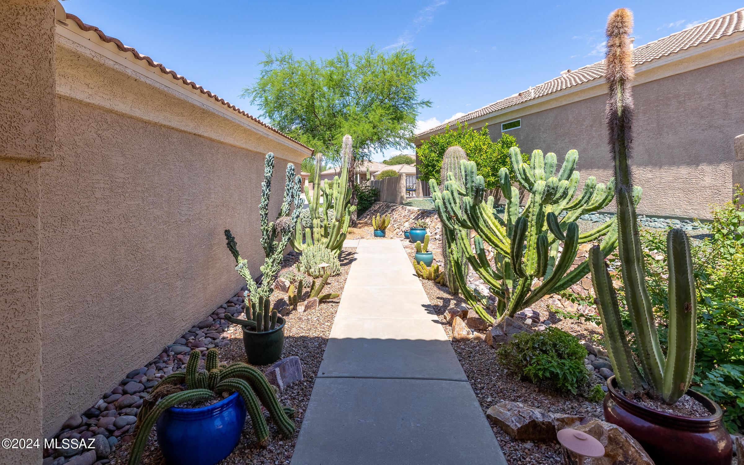 Photo 5 of 44 of 13616 N Gold Cholla Place house