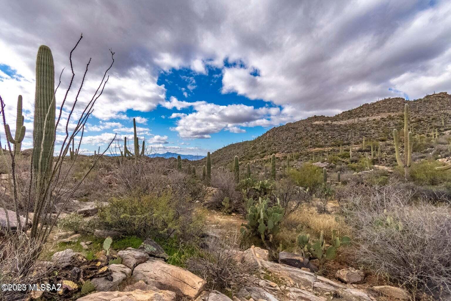 Photo 17 of 26 of 3517 W Old Saguaro Ranch Road 38 land