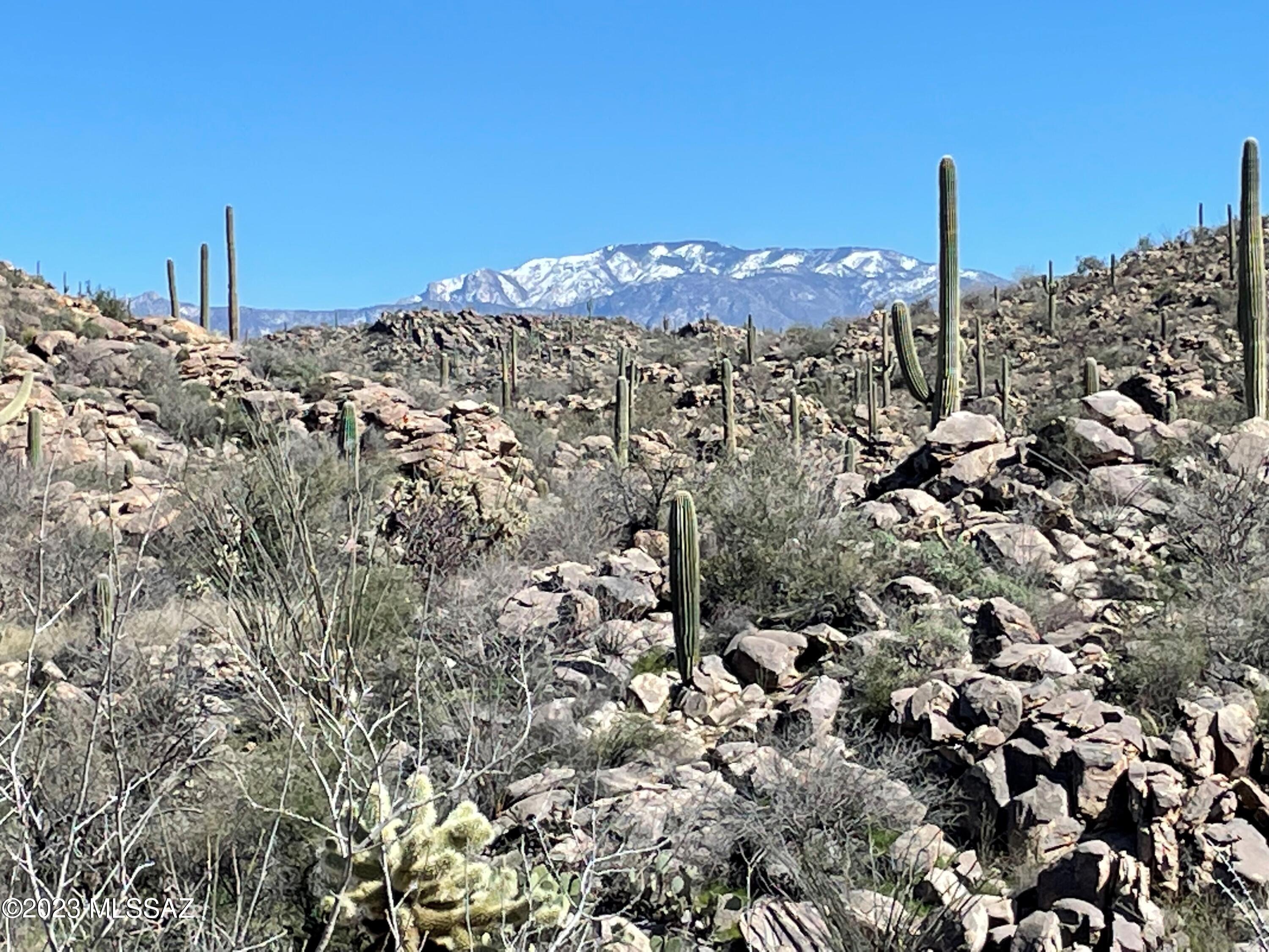 Photo 2 of 26 of 3517 W Old Saguaro Ranch Road 38 land