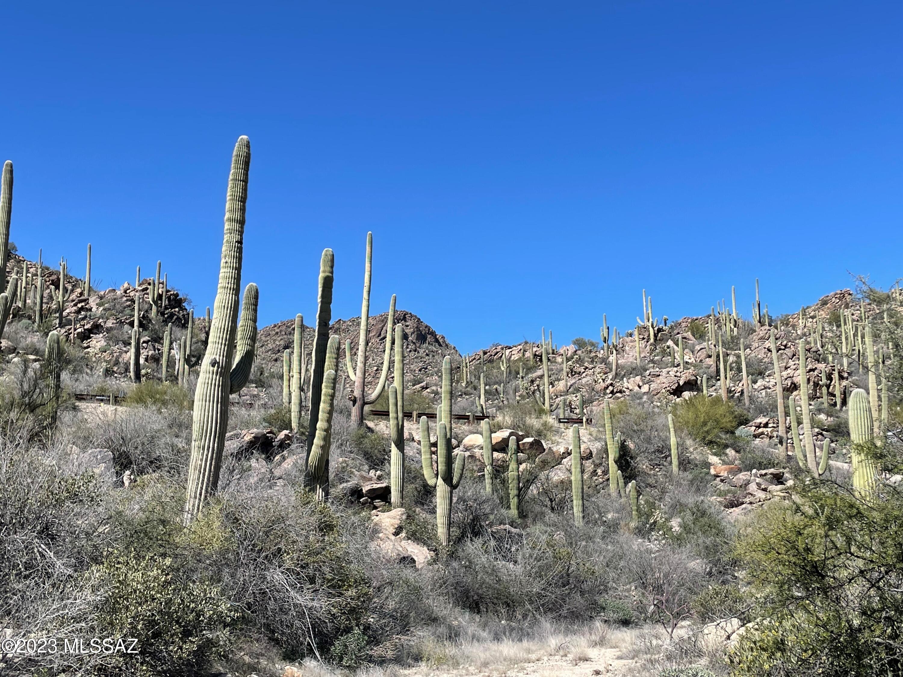 Photo 3 of 26 of 3517 W Old Saguaro Ranch Road 38 land