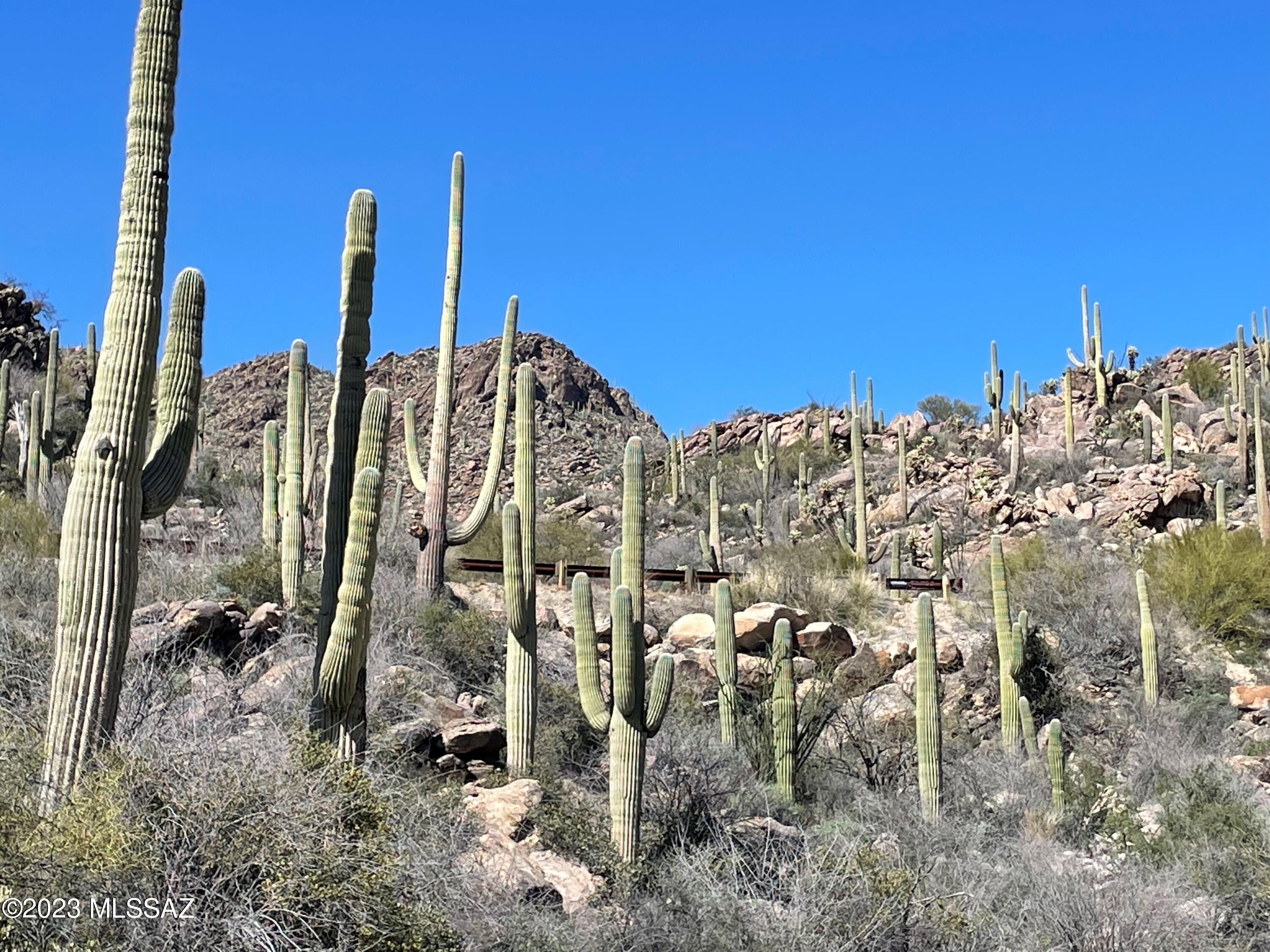 Photo 4 of 26 of 3517 W Old Saguaro Ranch Road 38 land