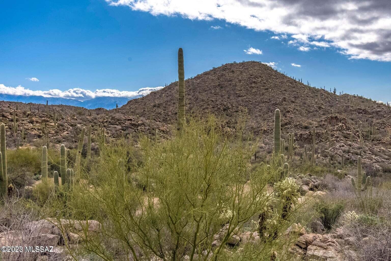 Photo 6 of 26 of 3517 W Old Saguaro Ranch Road 38 land