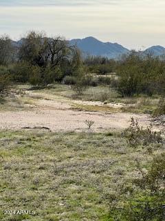 Photo 5 of 14 of 51871 W PAMPAS GRASS Road 86-A land