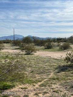 Photo 8 of 10 of 51871 W PAMPAS GRASS Road 86 land