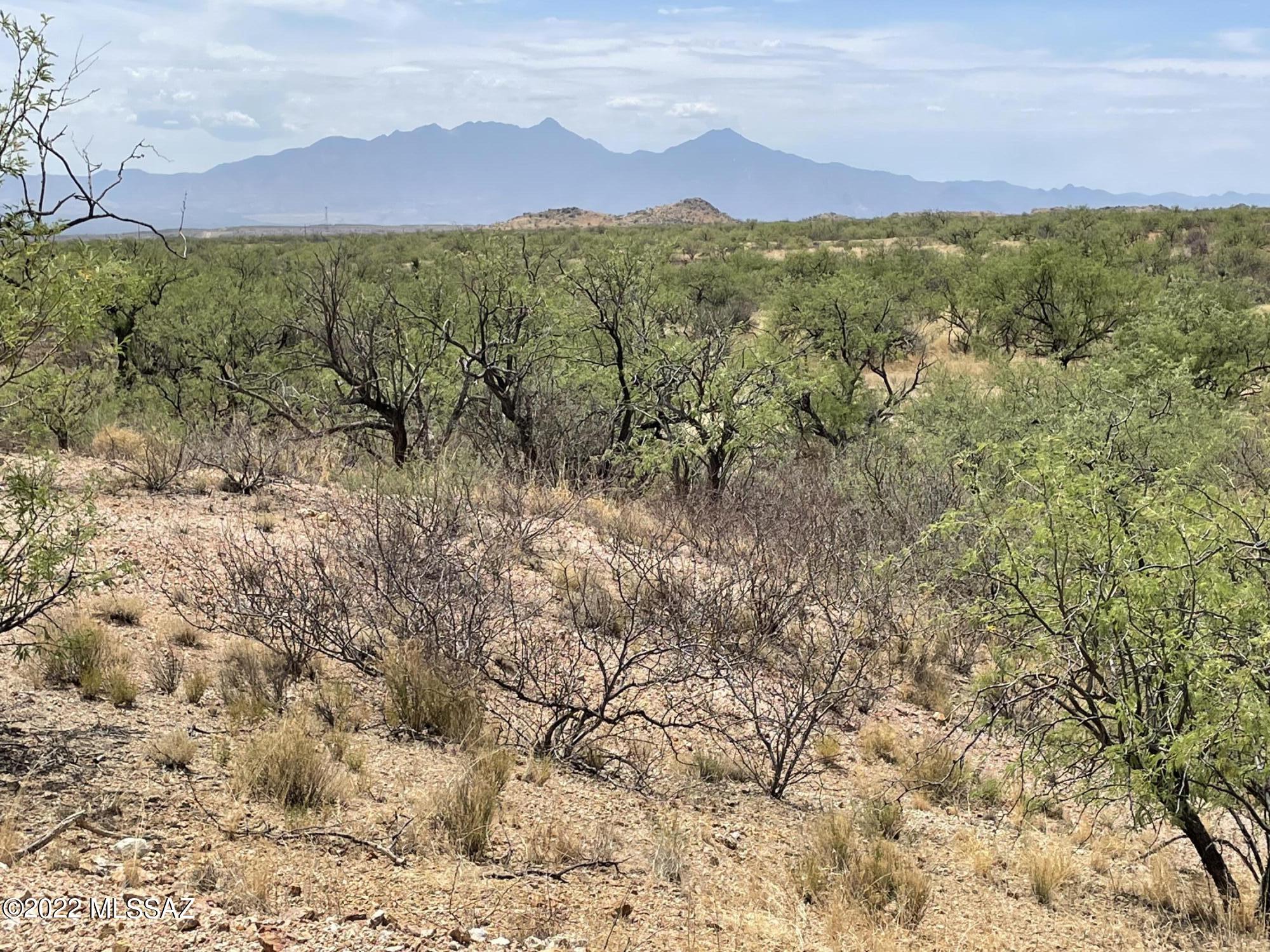 Photo 12 of 16 of 17637 S Lone Saguaro Road land