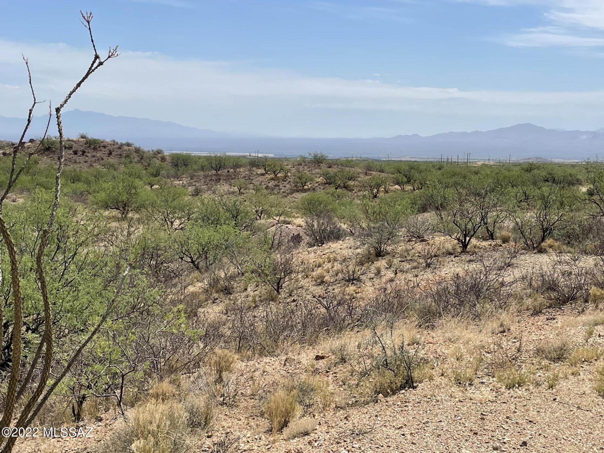 Photo 13 of 16 of 17637 S Lone Saguaro Road land