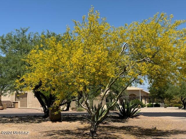 Photo 3 of 31 of 1275 W Bosque Drive house