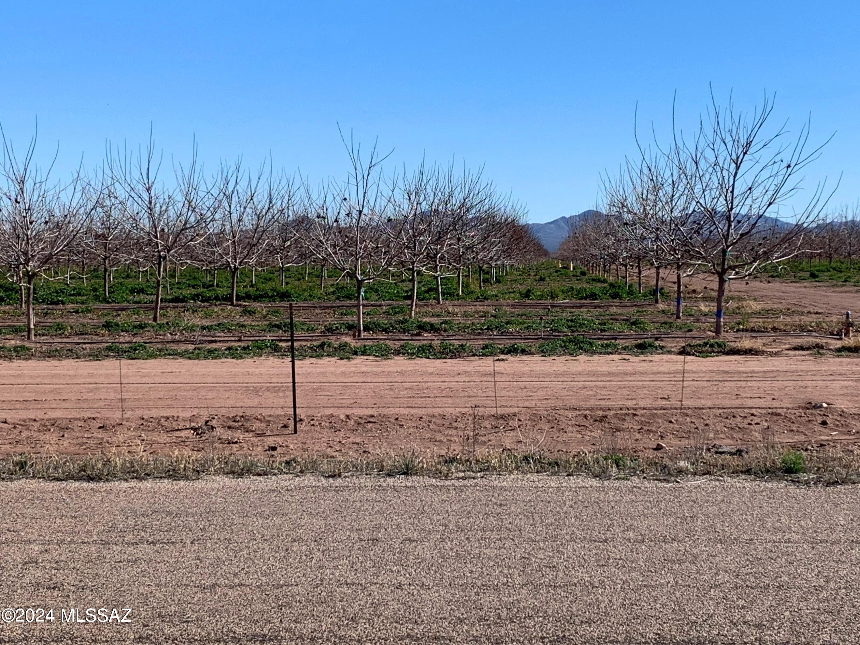 Photo 6 of 7 of 0 S Noland Rd. land