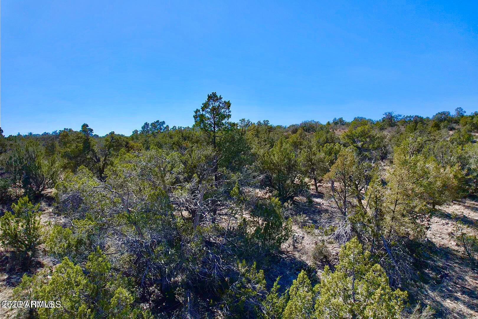 Photo 4 of 10 of 32424 W CAMINO OSO -- 1908 land