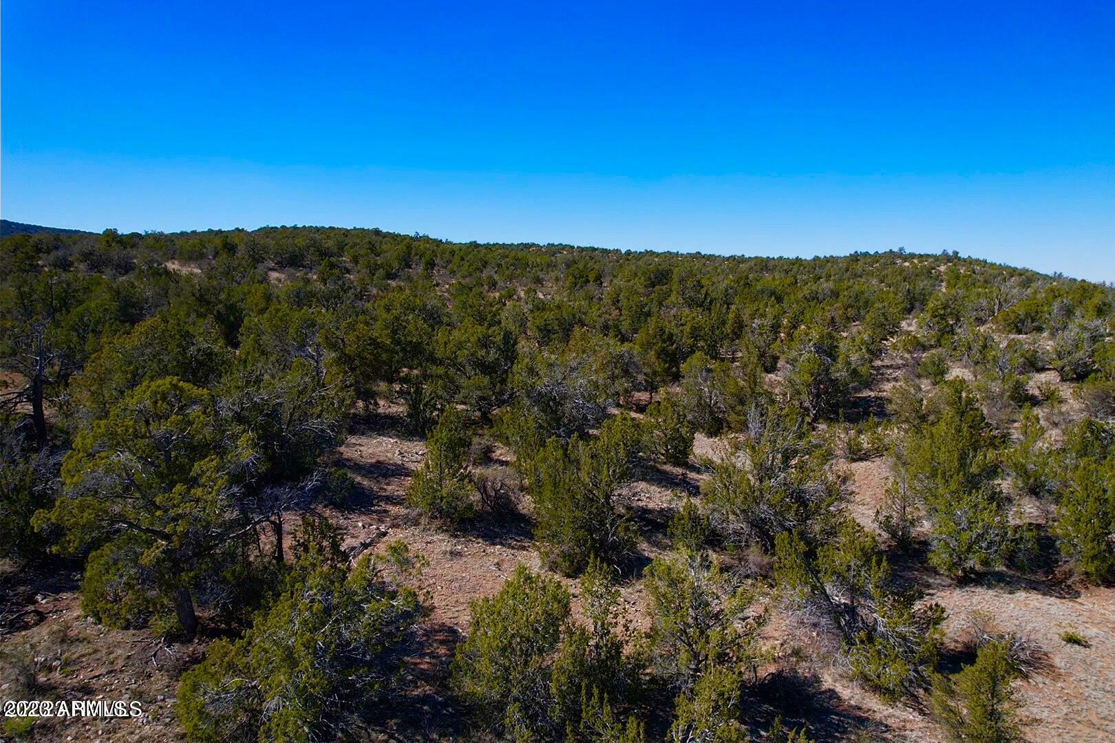 Photo 9 of 10 of 32424 W CAMINO OSO -- 1908 land