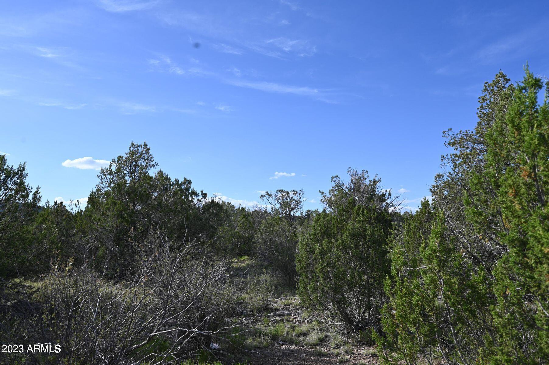 Photo 4 of 8 of 52084 N CALLE CIERVO -- 2064 land