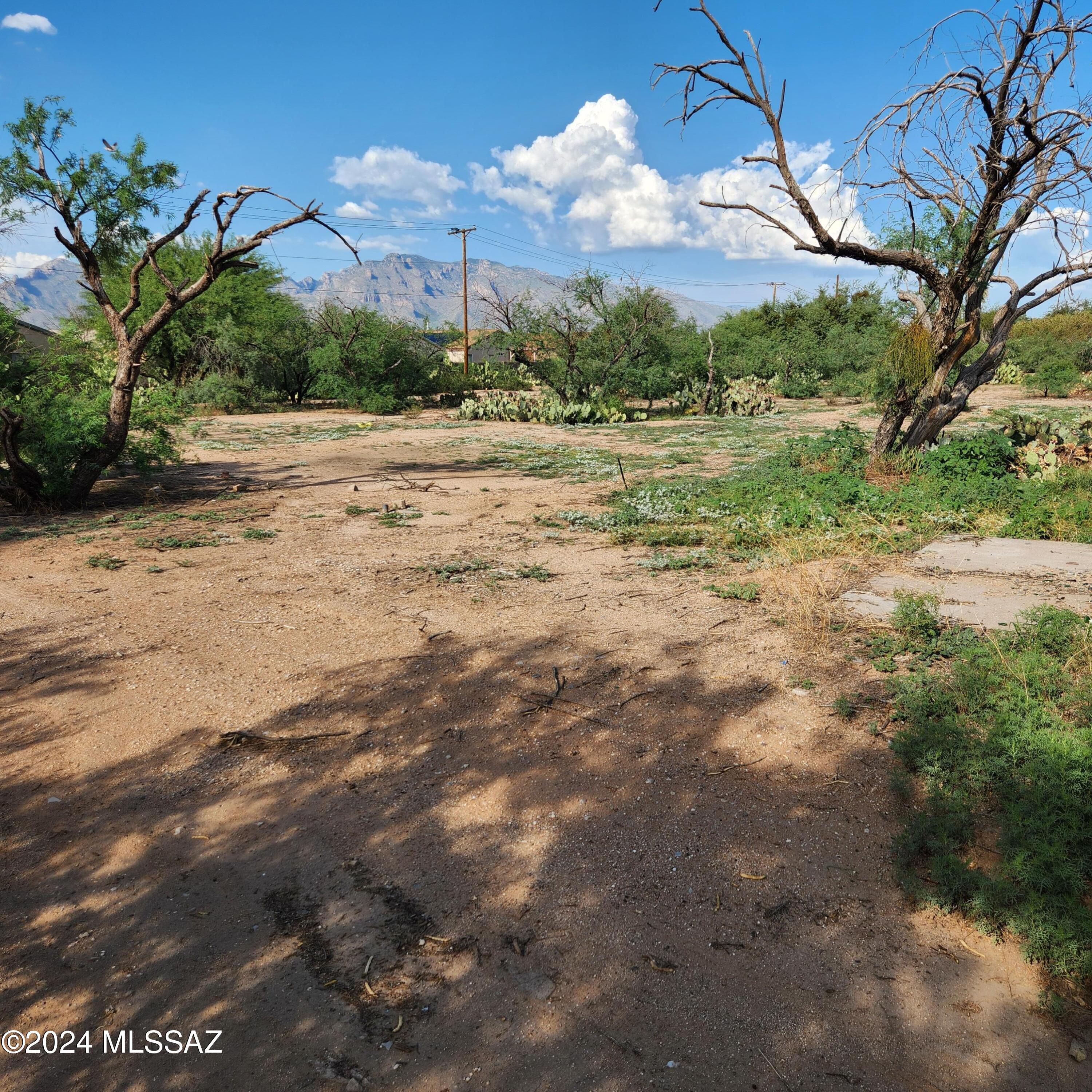 Photo 1 of 12 of 1762 W Ruthrauff Road land