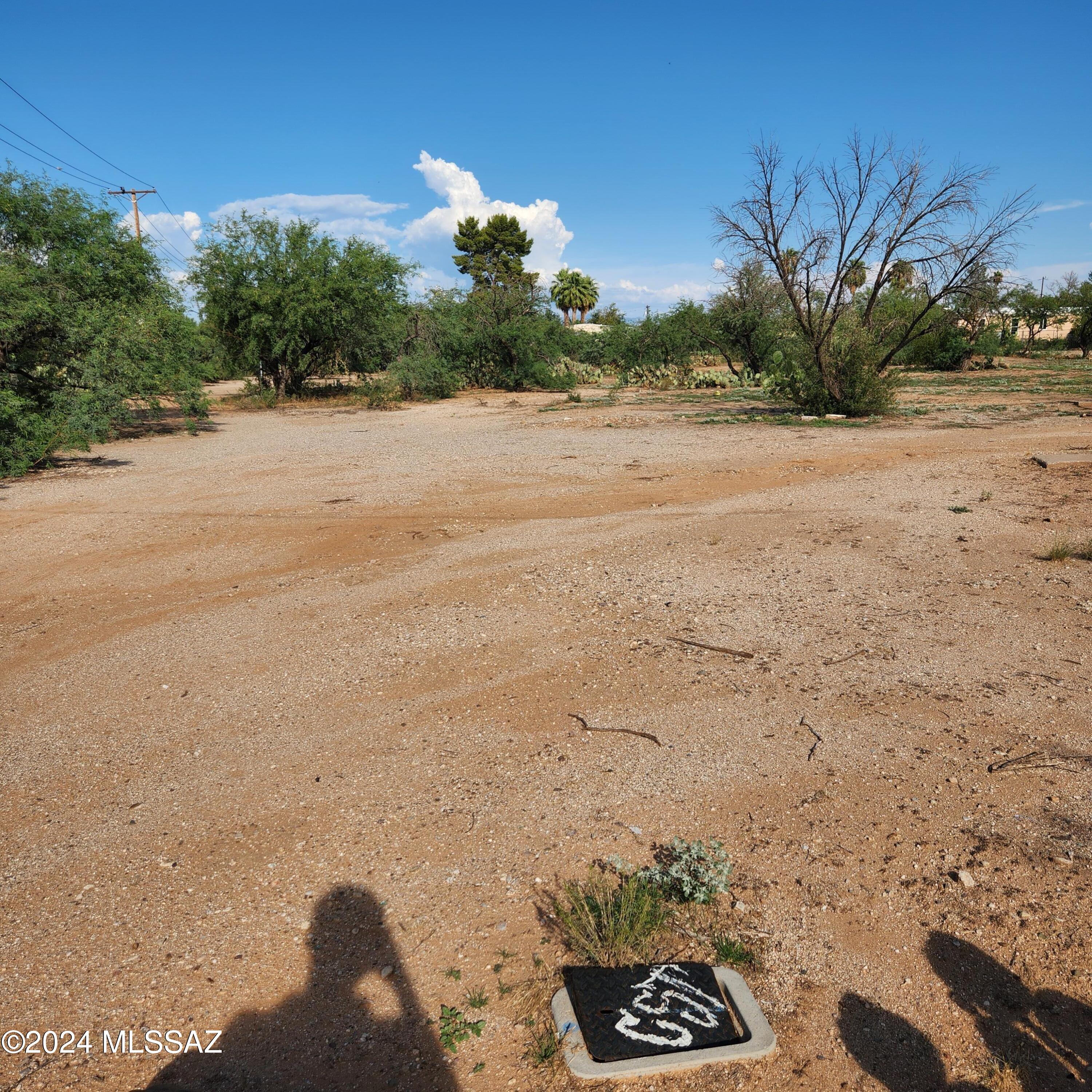 Photo 2 of 12 of 1762 W Ruthrauff Road land